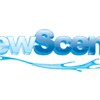 NewScene Professional Window Cleaning