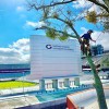 New Urban Forestry