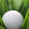Southwest Greens