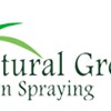 Natural Green Lawn Spraying