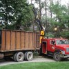 Noel's Tree & Crane Service