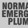 Normandie Emergency Plumber