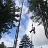 Northeast Tree Care & Landscaping