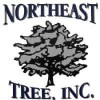 Northeast Tree