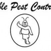 Northern Restoration & Waterproof Systems