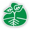 Northern Roots Lawn Care