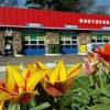 Northern Auto Repairs
