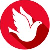 Network Solutions