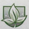 The Greenhouse I I
