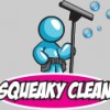 Squeaky Clean Windows