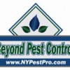 Connex Environmental Pest Control