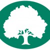 Oak Tree Services