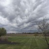 Oasis Lawn & Landscape