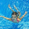 Oasis Pools