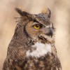 Ogden Nature Center