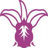Orchid Island Roofing