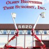 Olsen Brothers Tree Surgery