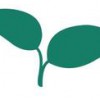 One Acre Fund