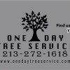 One Day Tree Service