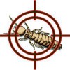 Onyx Termite & Pest