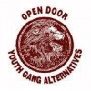 Open Door Youth Gang Alternatives