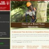 Orange Park Tree Surgeons
