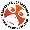 The Orangutan Conservancy