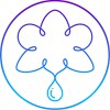 Orchid House Cleaning