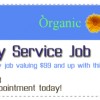 Organic LA Carpet Cleaning