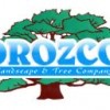 Orozco Landscape & Tree