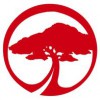 Out On A Limb Tree Service