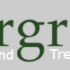 Overgrown Lawn Care Service