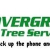 Overgrown Tree Service