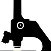 P.A.C.E. Field Services