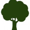 Padgett Tree Services