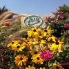 Pahl's Market