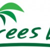 Palm Trees Direct