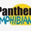 Panther Amphibian