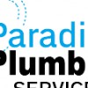 Paradigm Plumbing