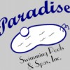 Paradise Swimming Pools & Spas