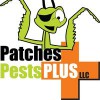 Patches Pest Plus