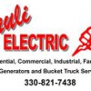 Pauli Electric