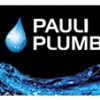 Pauli Plumbing