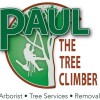 Paul The Tree Climber