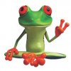 Peace Frog Carpet & Tile Cleaning
