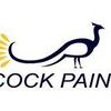 Peacock Painting Services