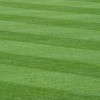 Areyos Lawn Maintenance