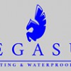 Pegasus Painting & Waterproofing