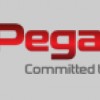 PegaSync Alarm