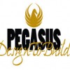 PEGASUS Design-To-Build